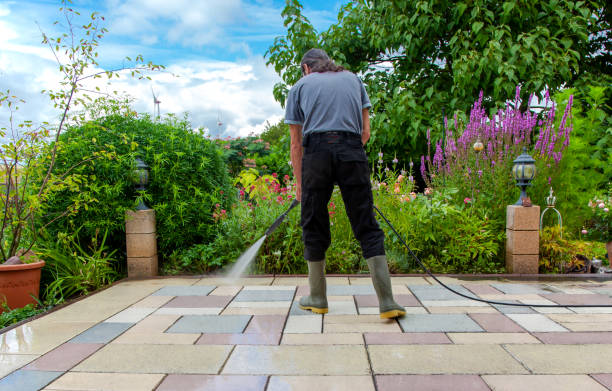 Best Roof Washing  in Johnstonville, CA
