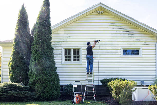 Best Solar Panel Cleaning  in Johnstonville, CA