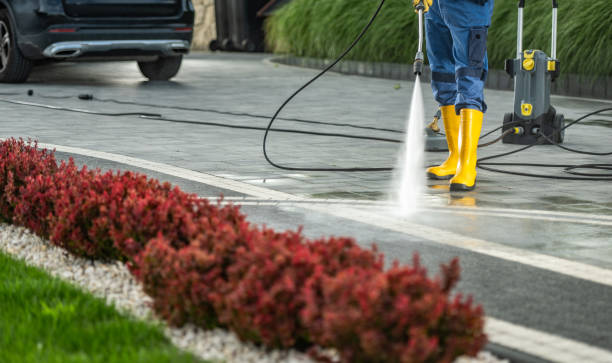 Best Driveway Pressure Washing  in Johnstonville, CA
